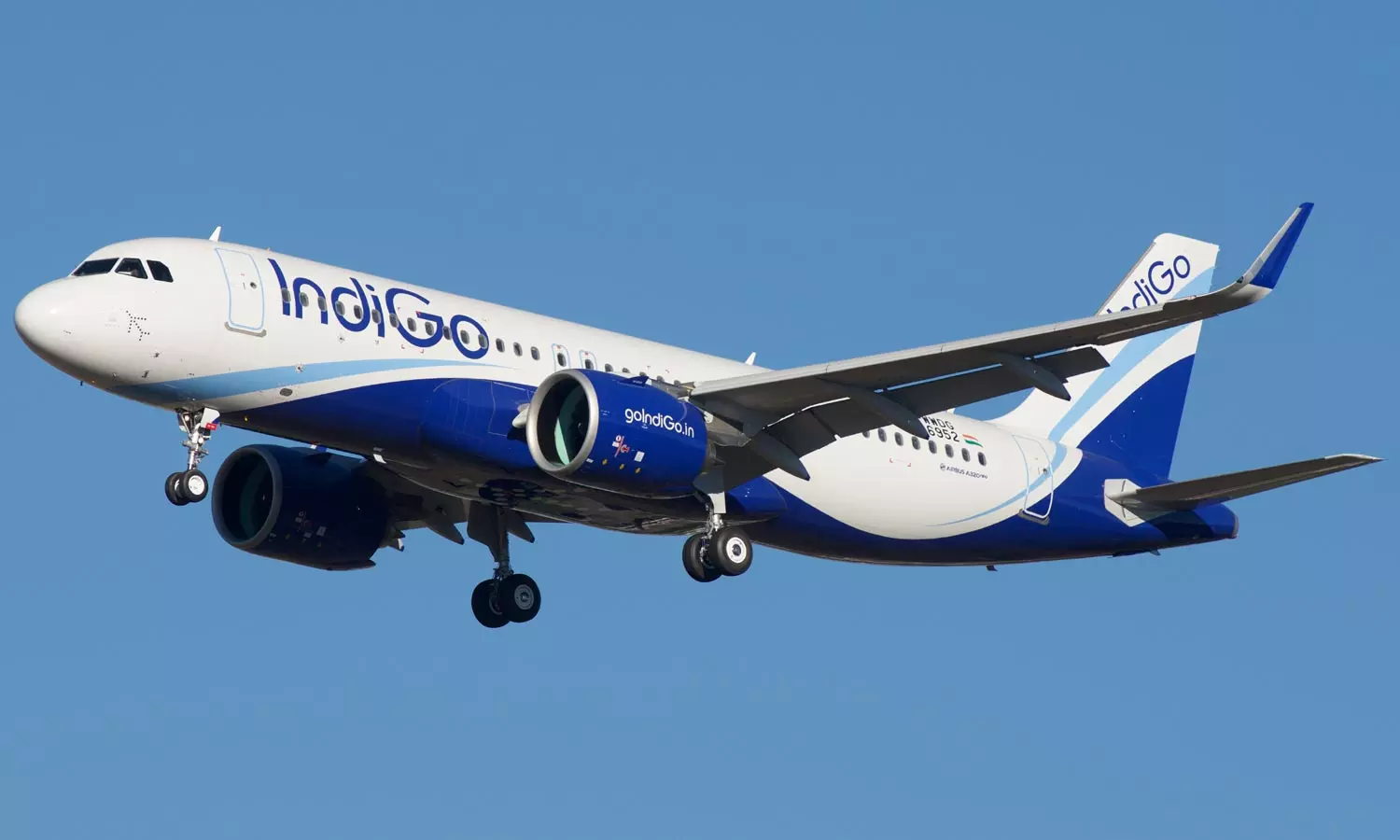 indigo
