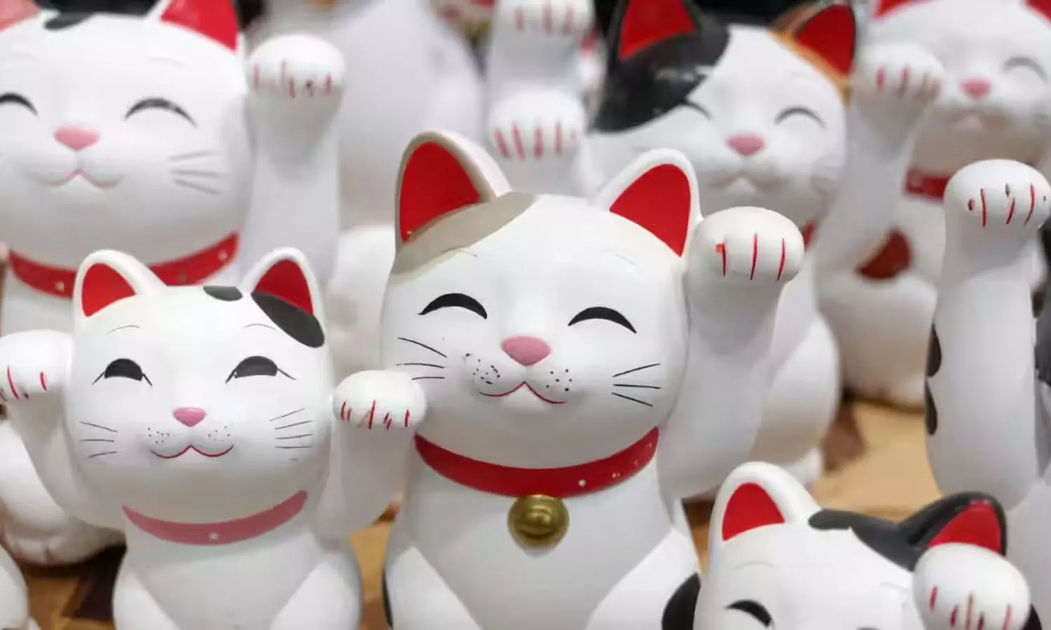 Maneki Neko జపాన్లో ఈ పిల్లే అదృష్టం... చేతులు ఊపితే నిజంగానే సంపద వస్తుందా? Maneki Neko జపాన్లో ఈ పిల్లే అదృష్టం... చేతులు ఊపితే నిజంగానే సంపద వస్తుందా?