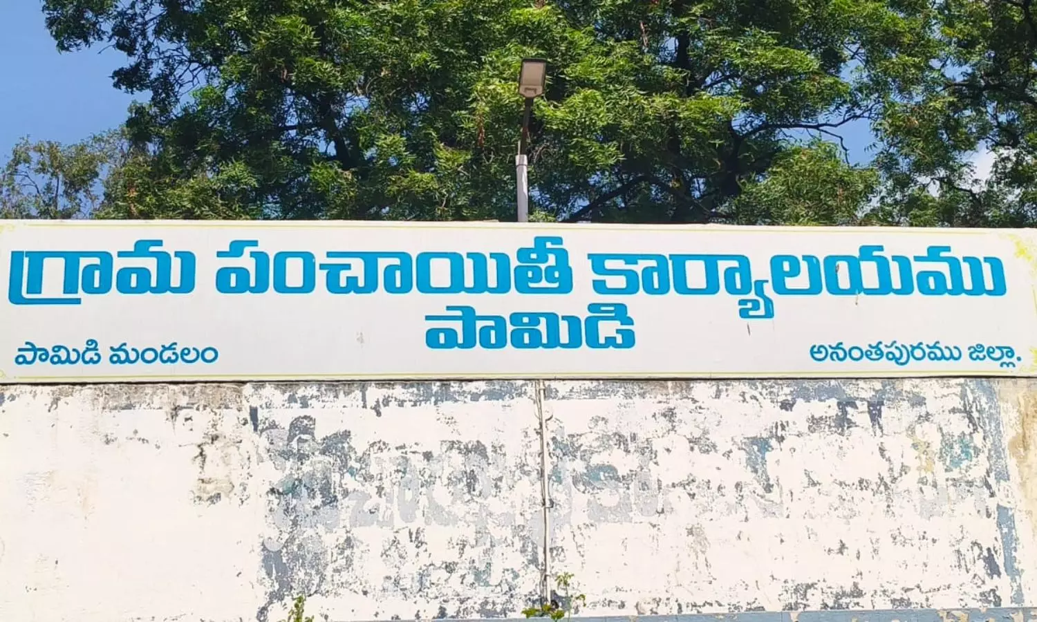 Pamidi