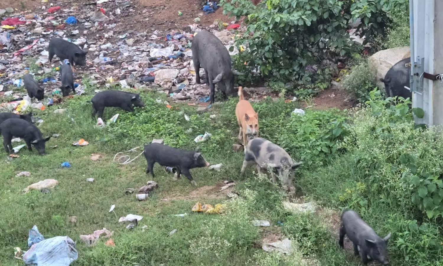 Siddipet Siddipet