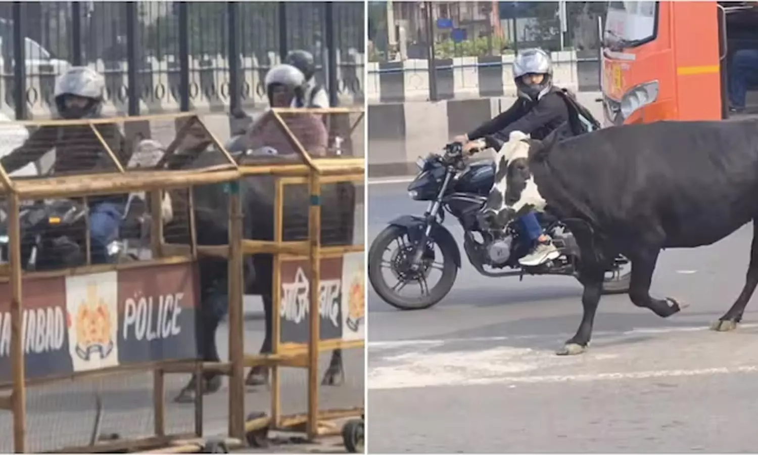 Biker-Viral-Video Biker-Viral-Video