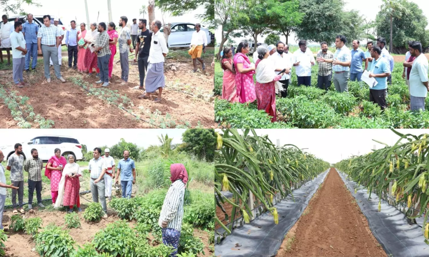 Jangaon Jangaon