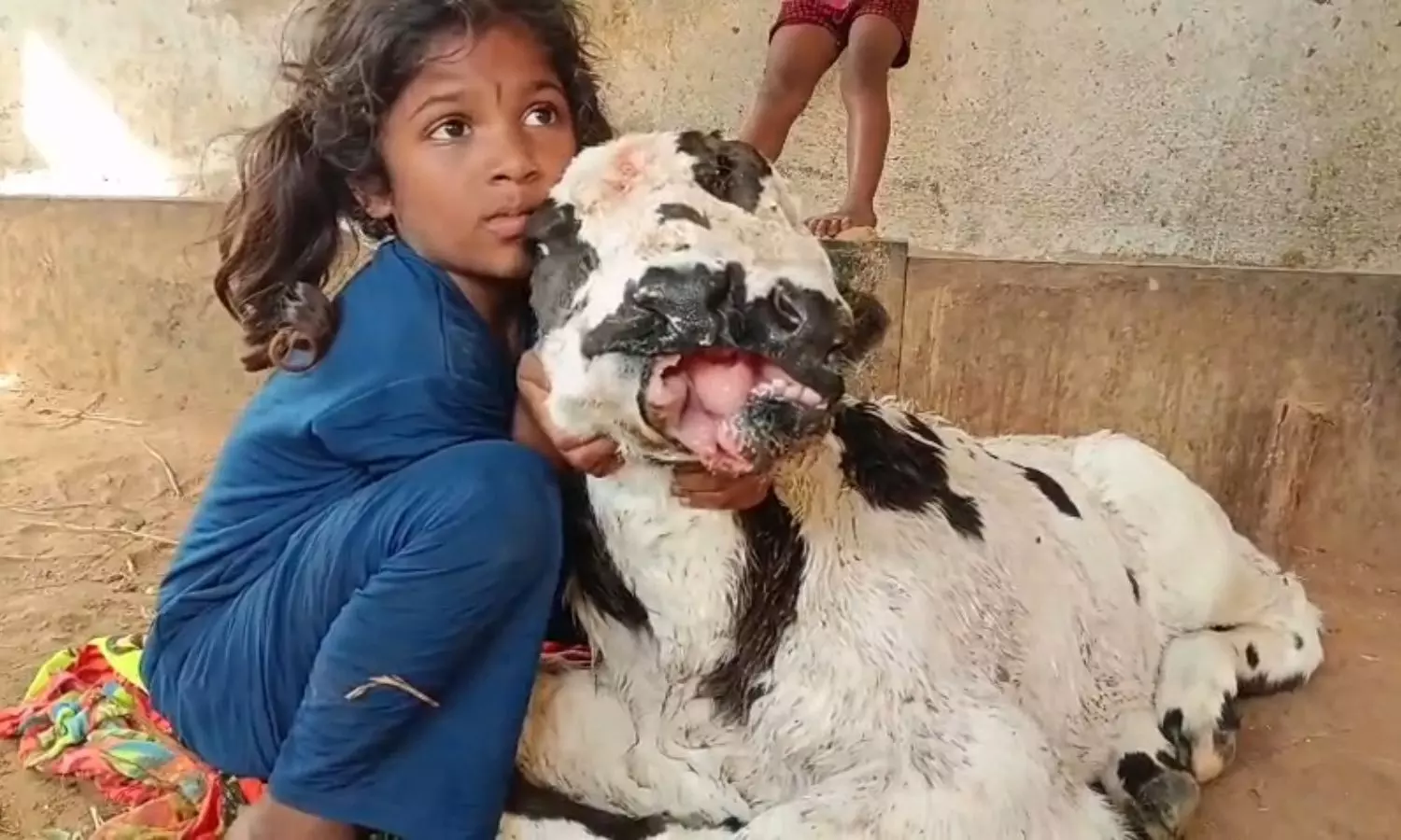 Sri Sathya Sai