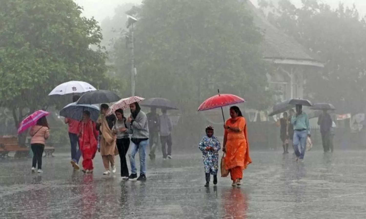 Rain Alert