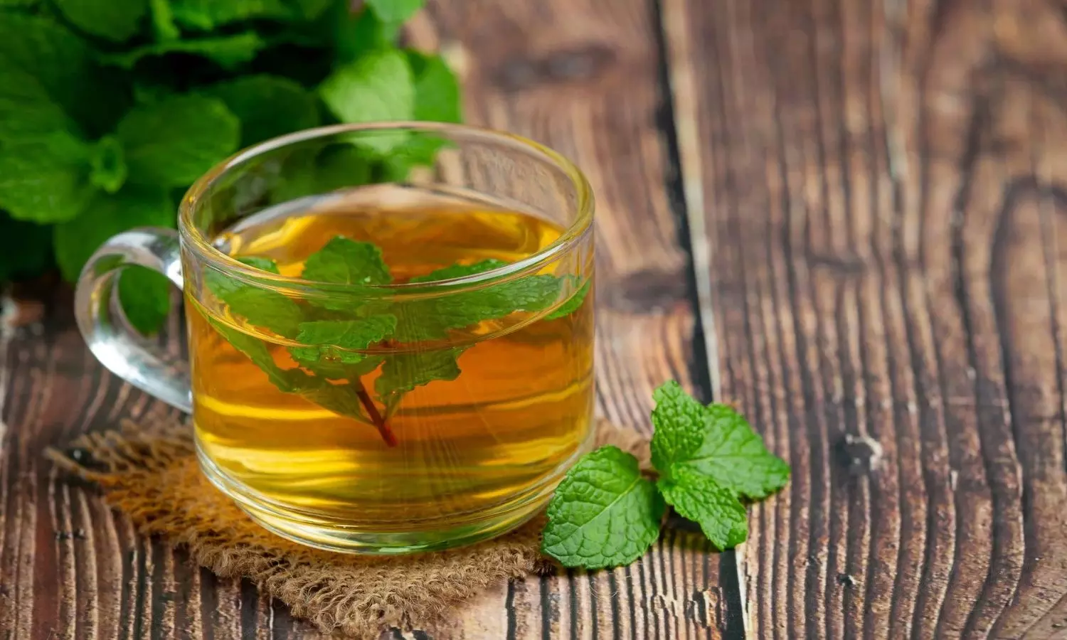 Peppermint Tea Peppermint Tea
