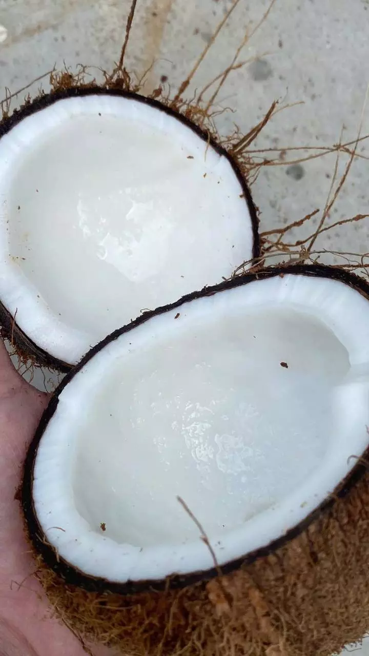 Raw Coconut: పచ్చి కొబ్బరి తింటే కలిగే అద్భుత ప్రయోజనాలు ఇవే Raw Coconut: పచ్చి కొబ్బరి తింటే కలిగే అద్భుత ప్రయోజనాలు ఇవే