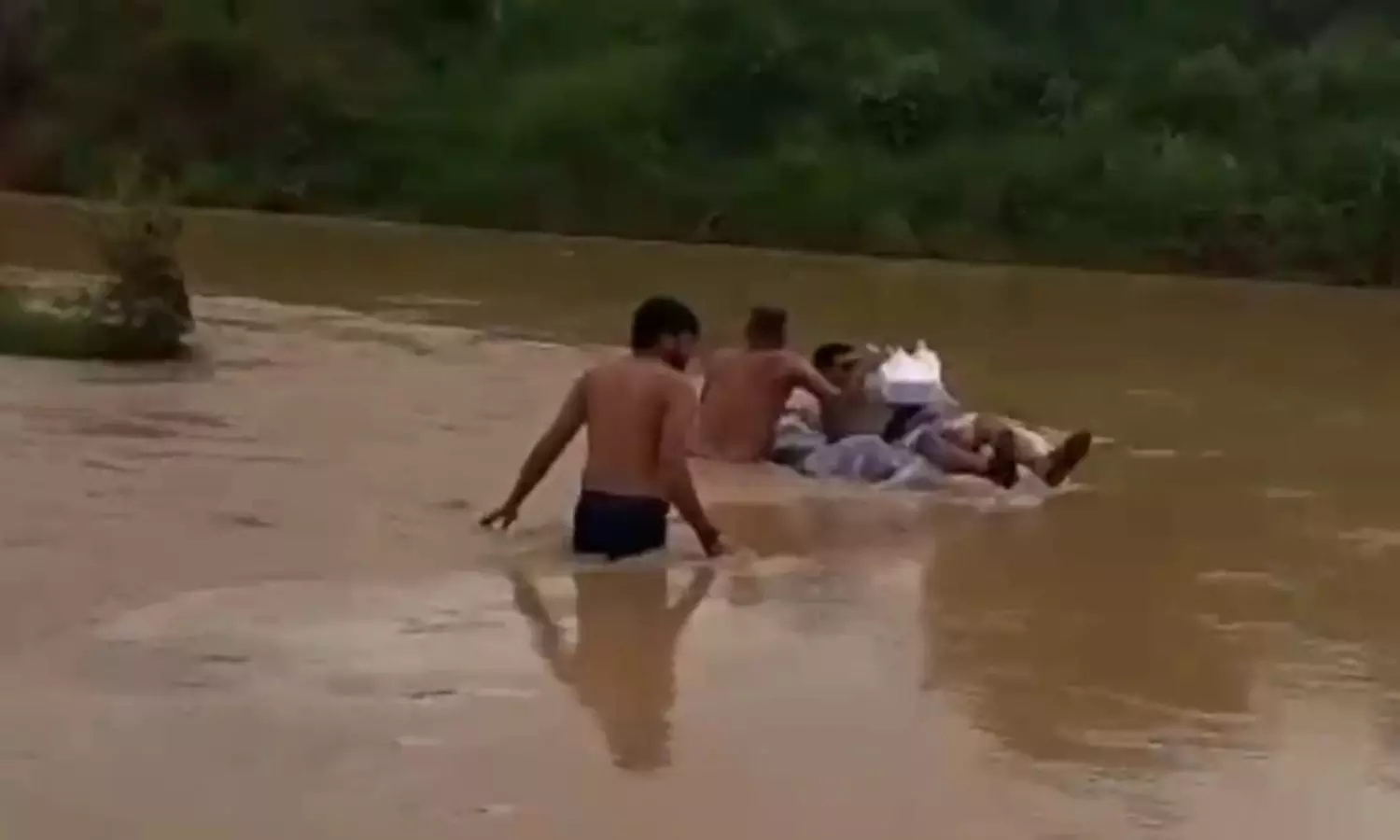 Viral Video
