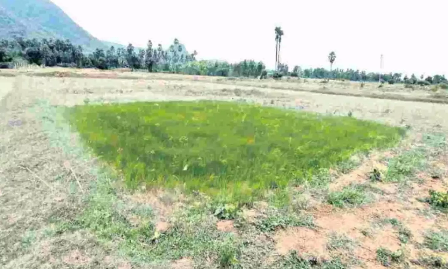 Chodavaram