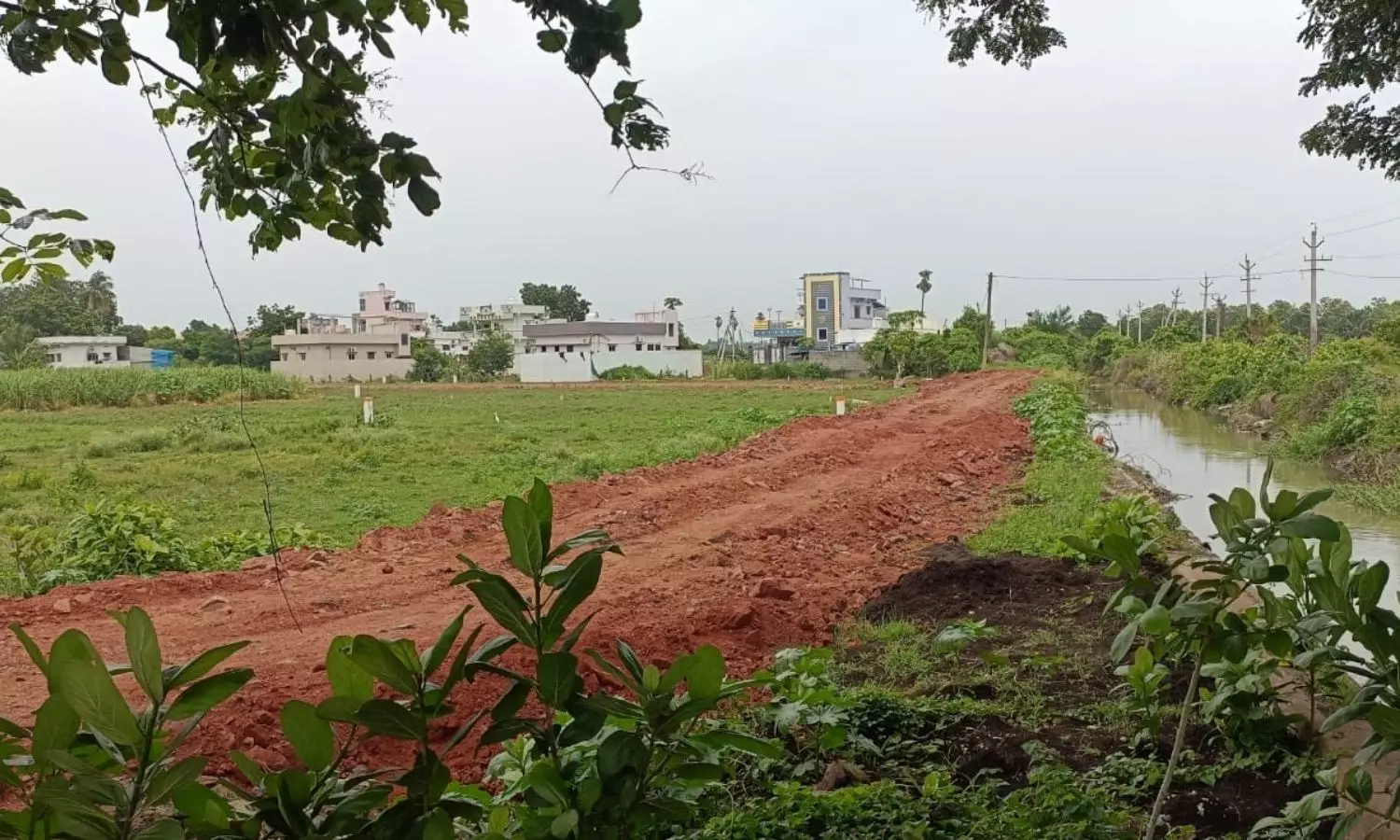 Krishna Krishna