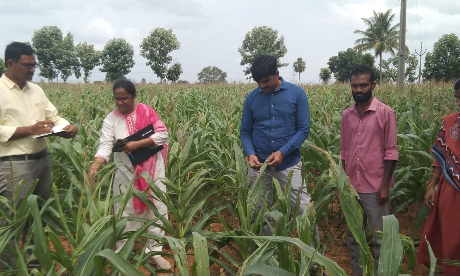 Jangaon: పంటల సాగులో మెలకువలు సూచించిన శాస్త్రవేత్