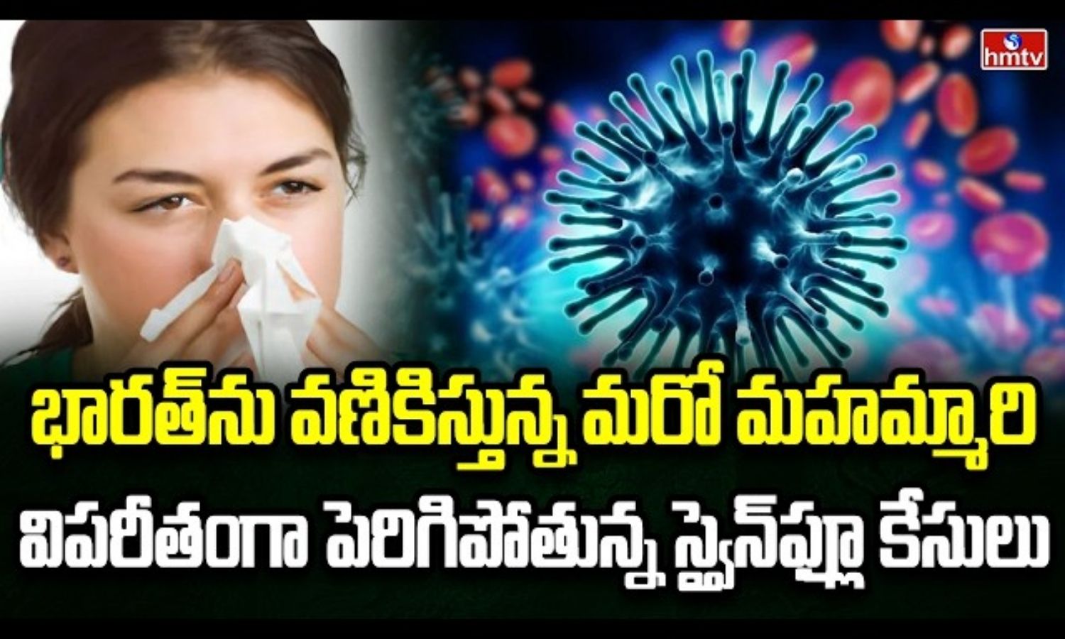 Burning Topic: ముంచుకొస్తున్న స్వైన్ ఫ్లూ!
