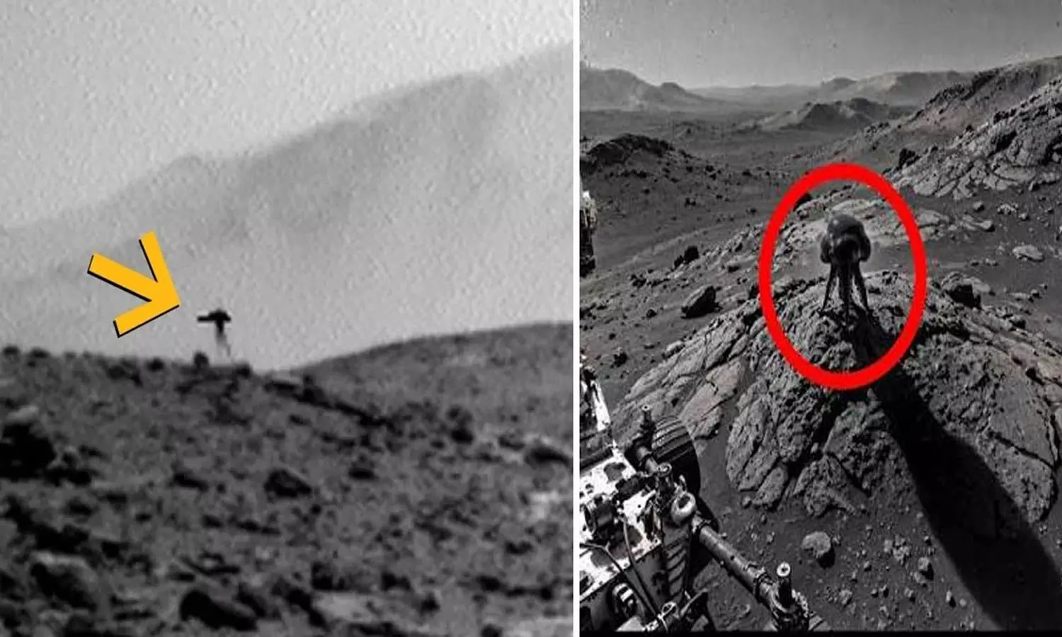 Mars Alien Jellyfish Photo