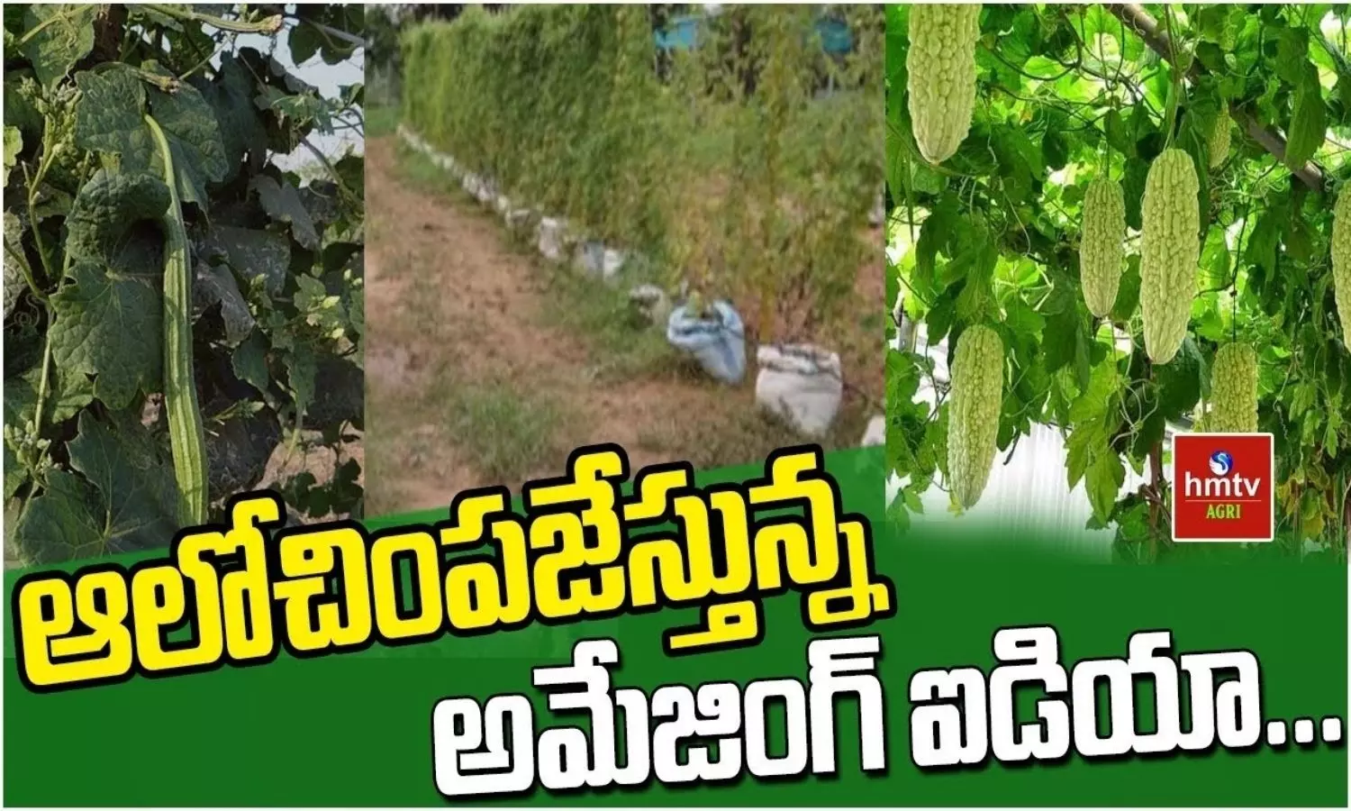 Organic Farming