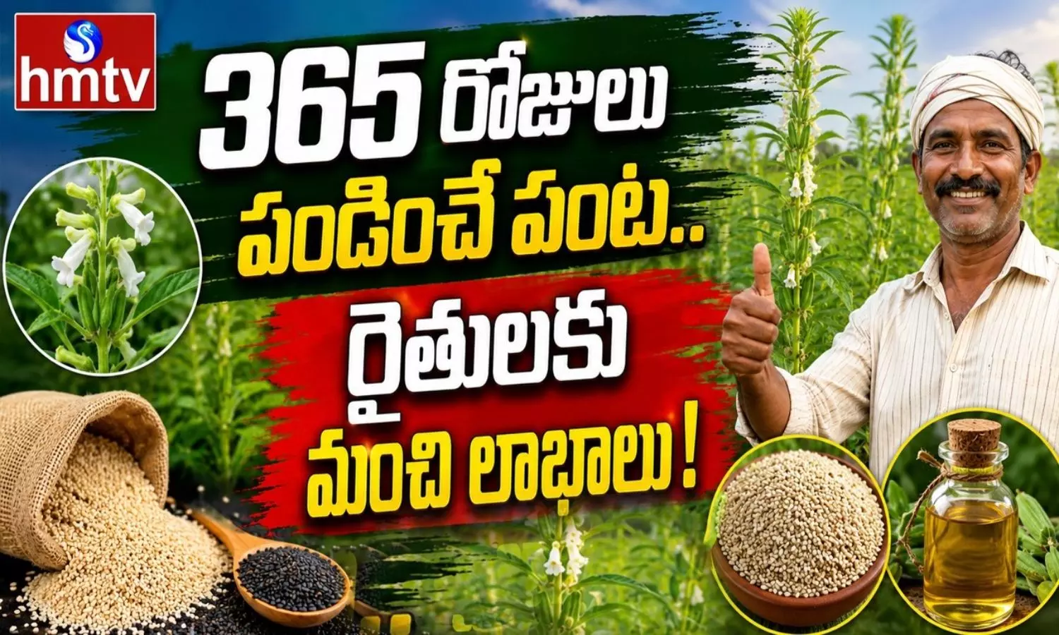 365 రోజులు పండించే పంట.. రైతులకు భారీ లాభాలు!