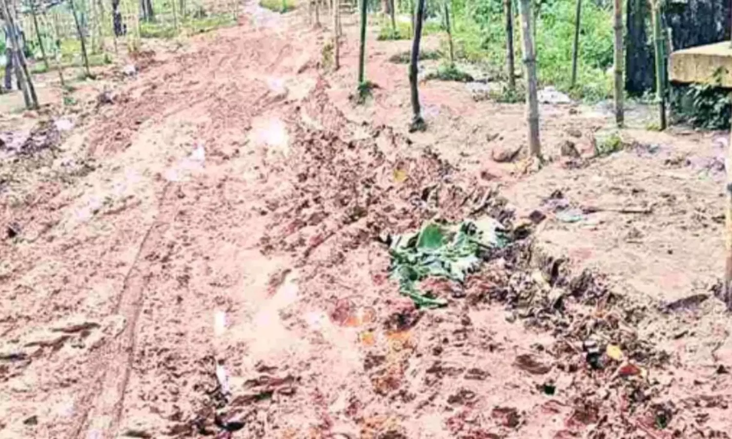 Pedabayalu Pedabayalu