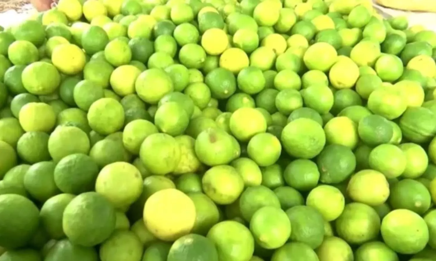 Rayachoti