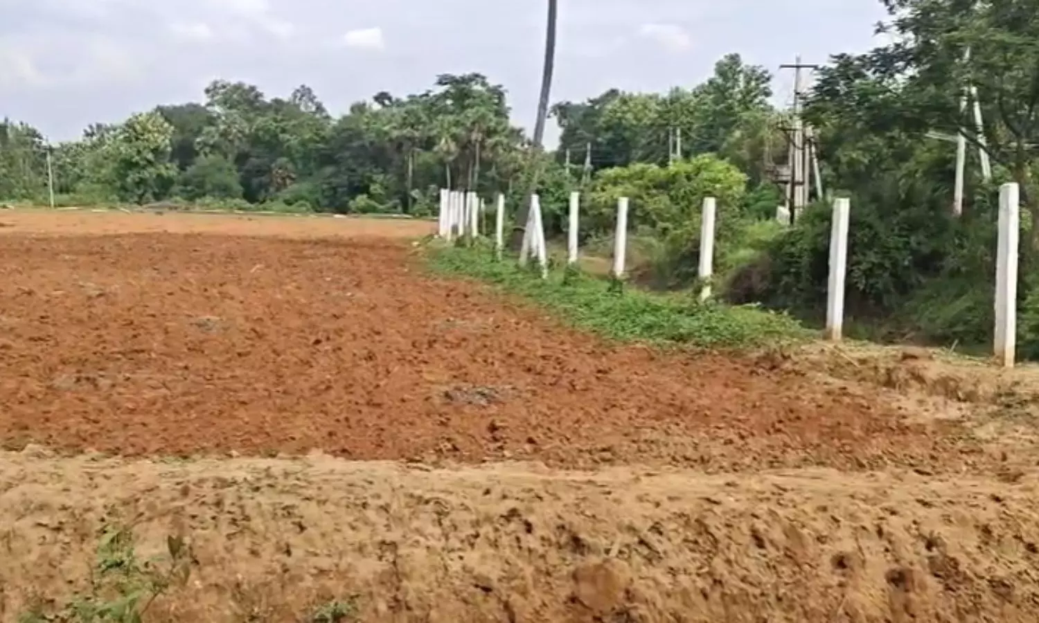 Padmanabham