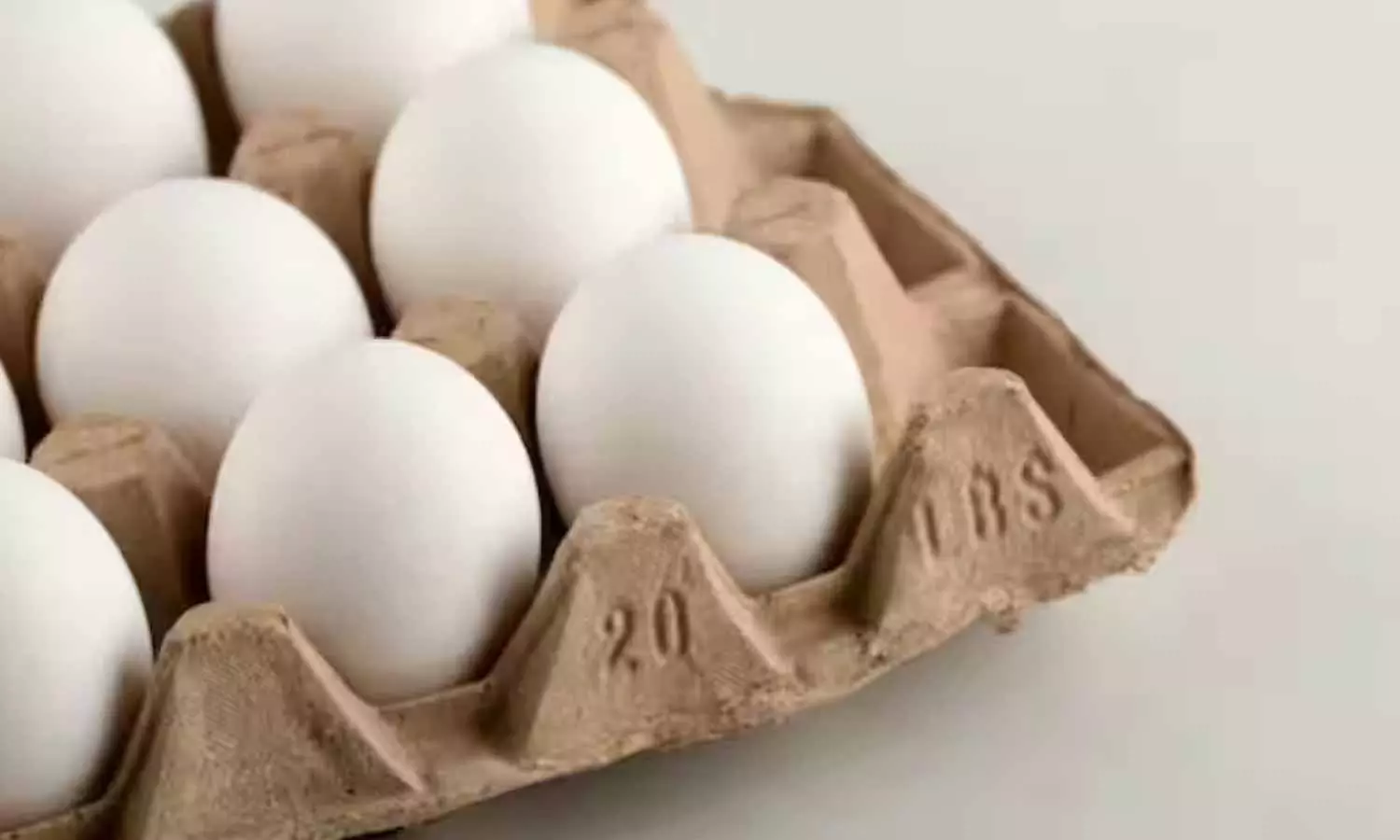 Egg Prices Hike Egg Prices Hike