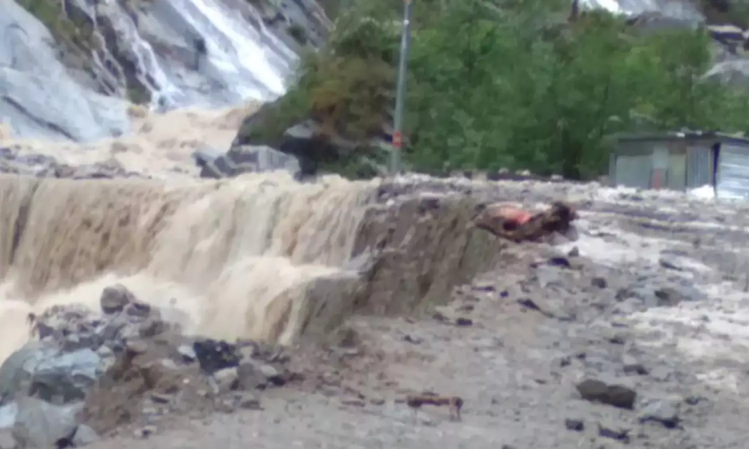 Uttarakhand Rain Uttarakhand Rain