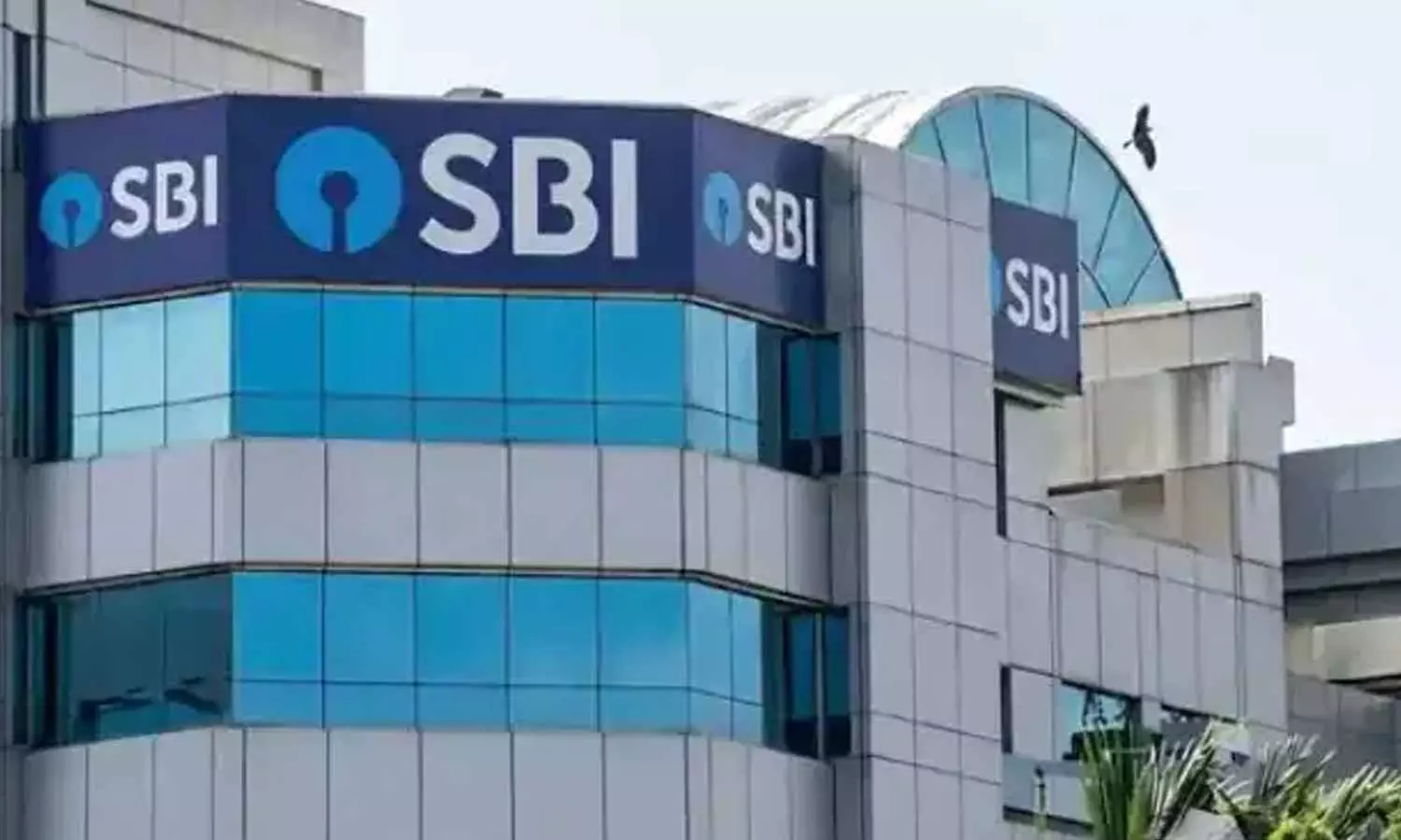 SBI Jobs