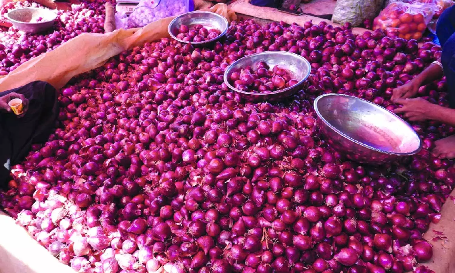 Onion Prices Drop Onion Prices Drop