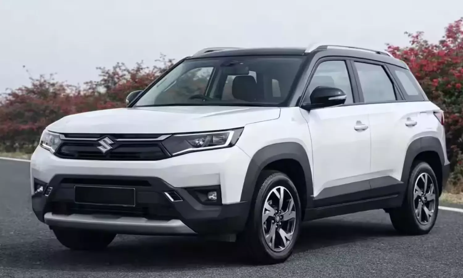 Maruti Suzuki Maruti Suzuki