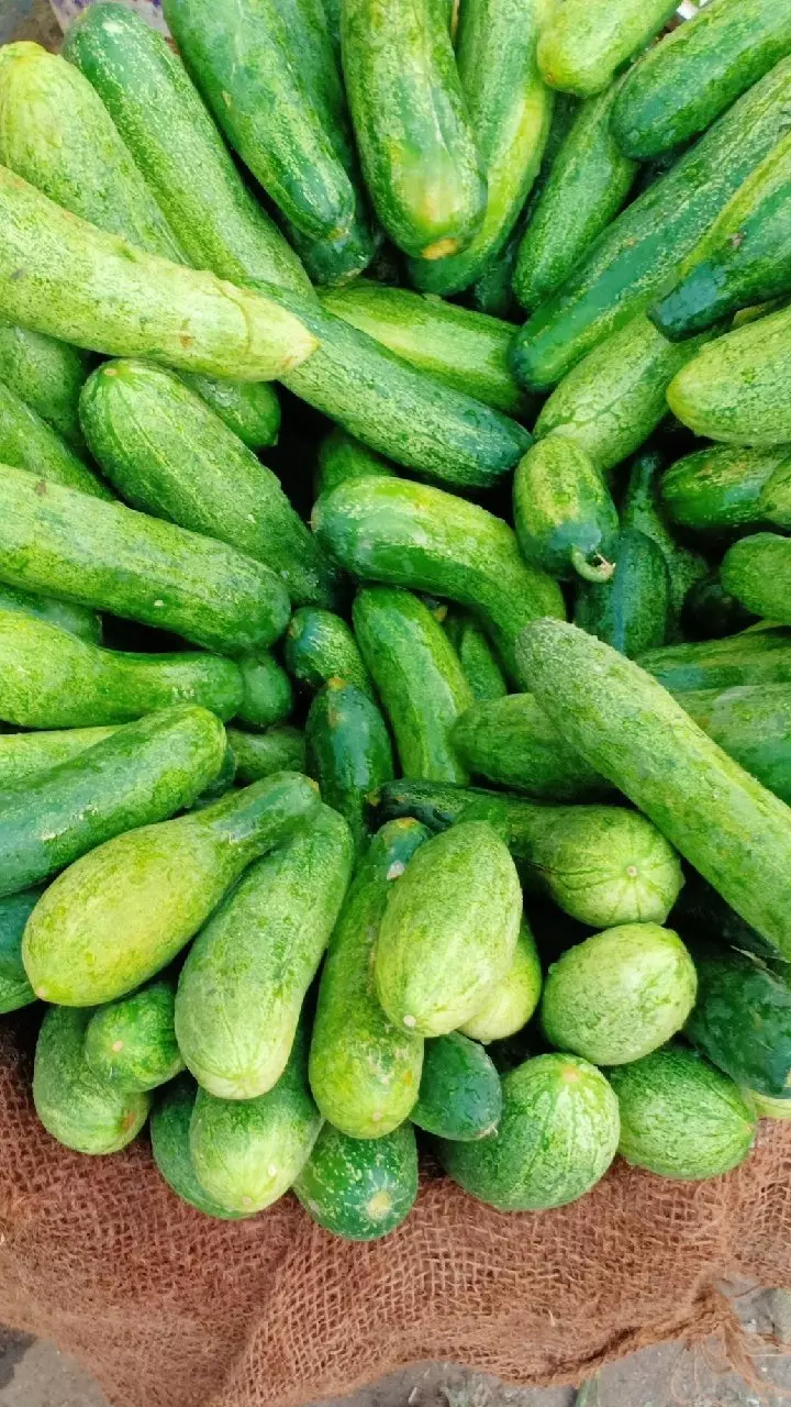 Cucumber: అవి ఉన్న వాళ్లు కీరదోసను ఇలా తింటే అమేజింగ్ రిజల్ట్స్ Cucumber: అవి ఉన్న వాళ్లు కీరదోసను ఇలా తింటే అమేజింగ్ రిజల్ట్స్