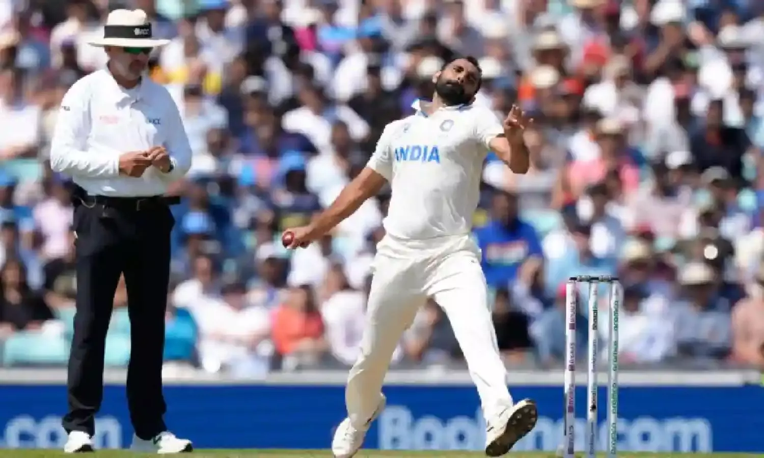 Mohammed Shami Team India comeback Mohammed Shami Team India comeback