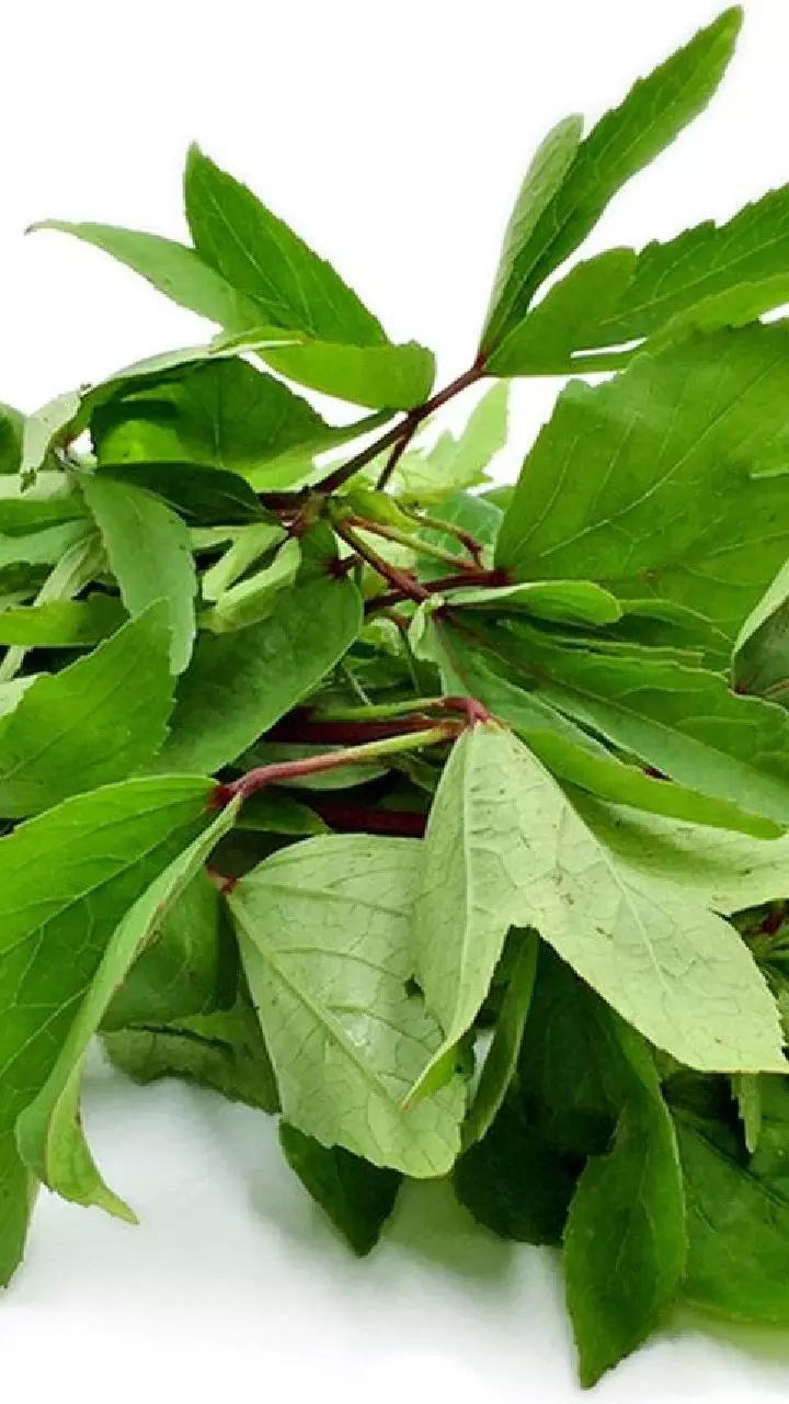 Gongura: కాలి గోటి నుంచి తల జుట్టు వరకు గోంగూర హెల్త్ బెనిఫిట్స్ ఇవే