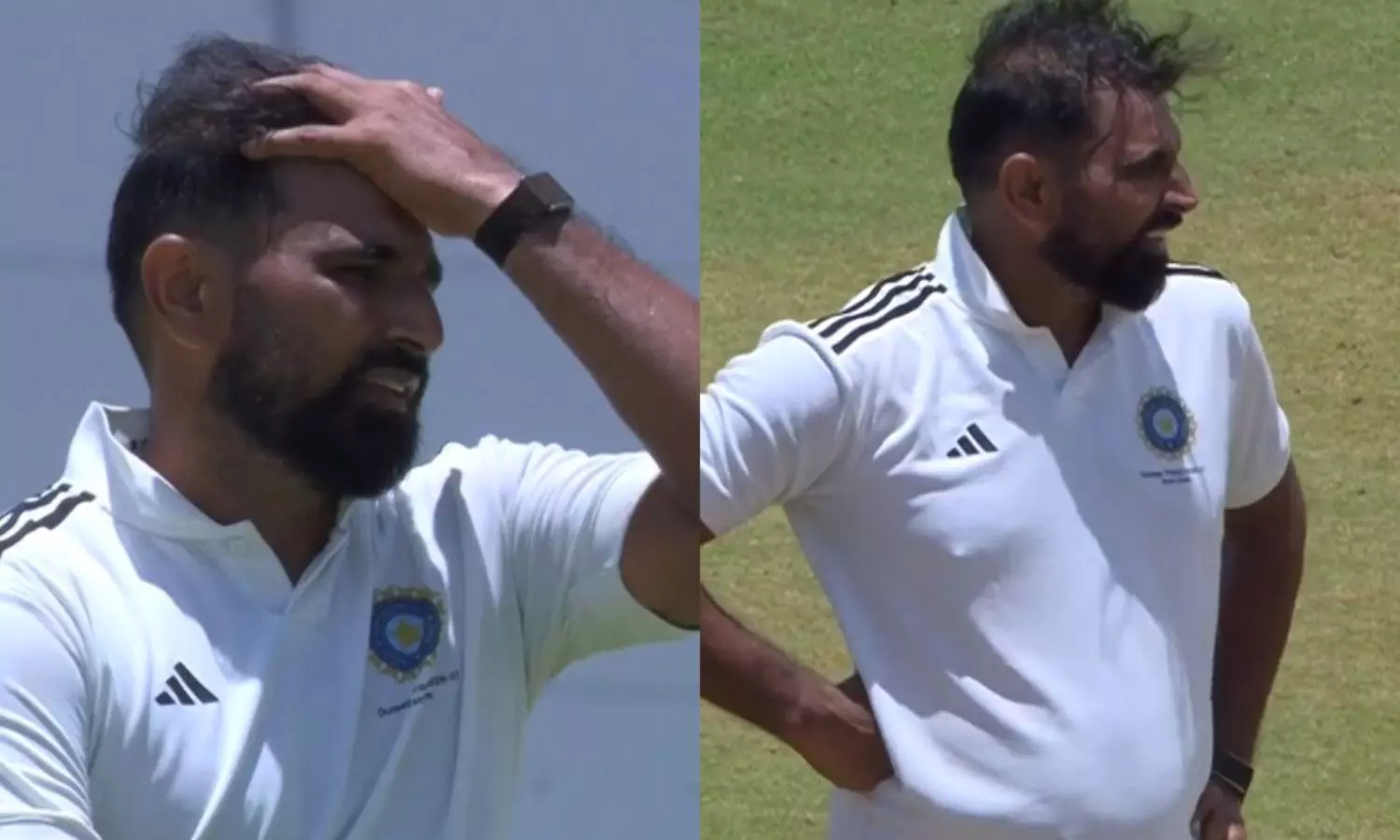 Mohammed Shami