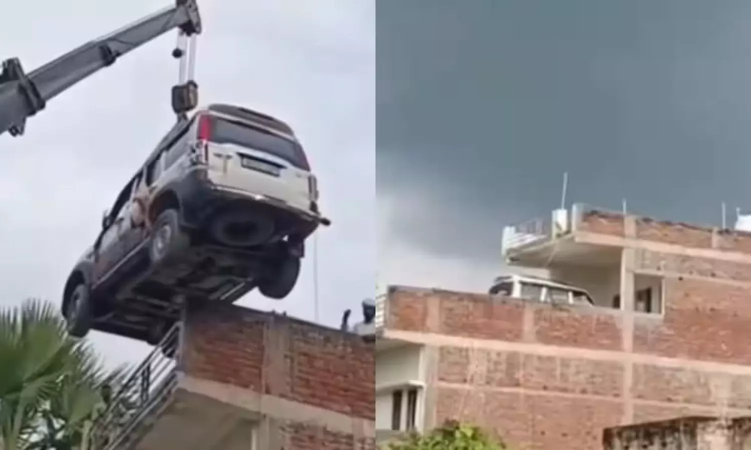 Viral