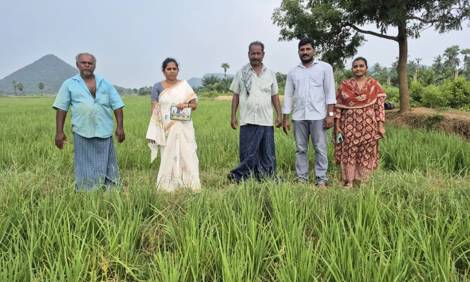 Rajanagaram