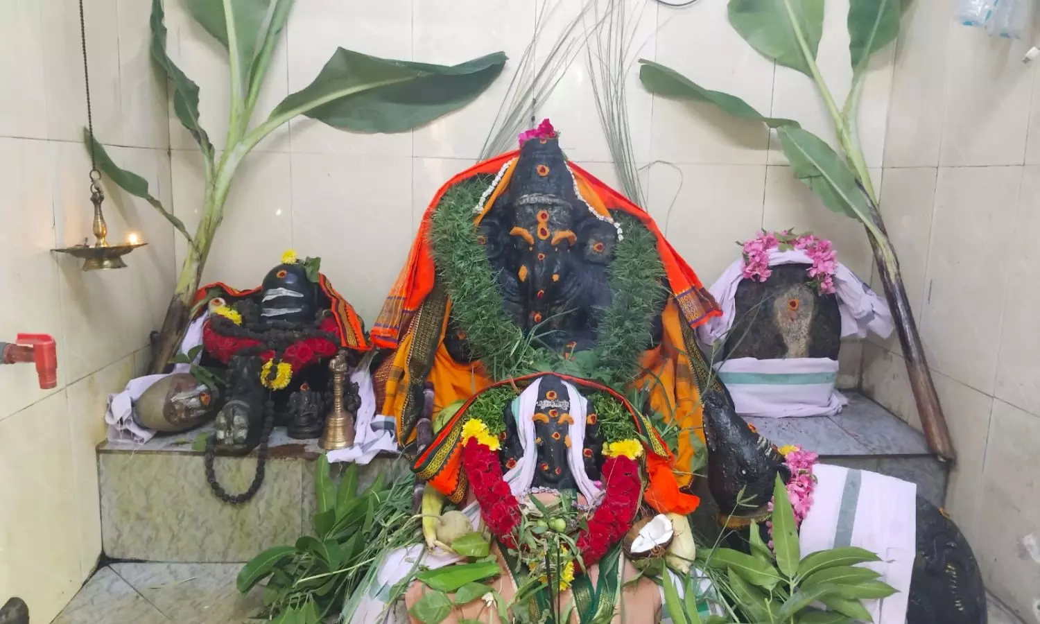 Nellore Nellore