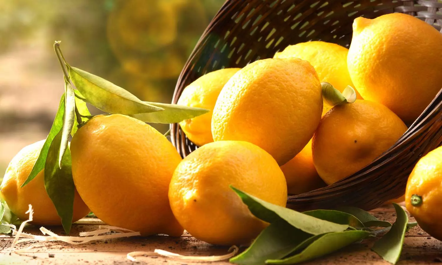 Lemon Hacks