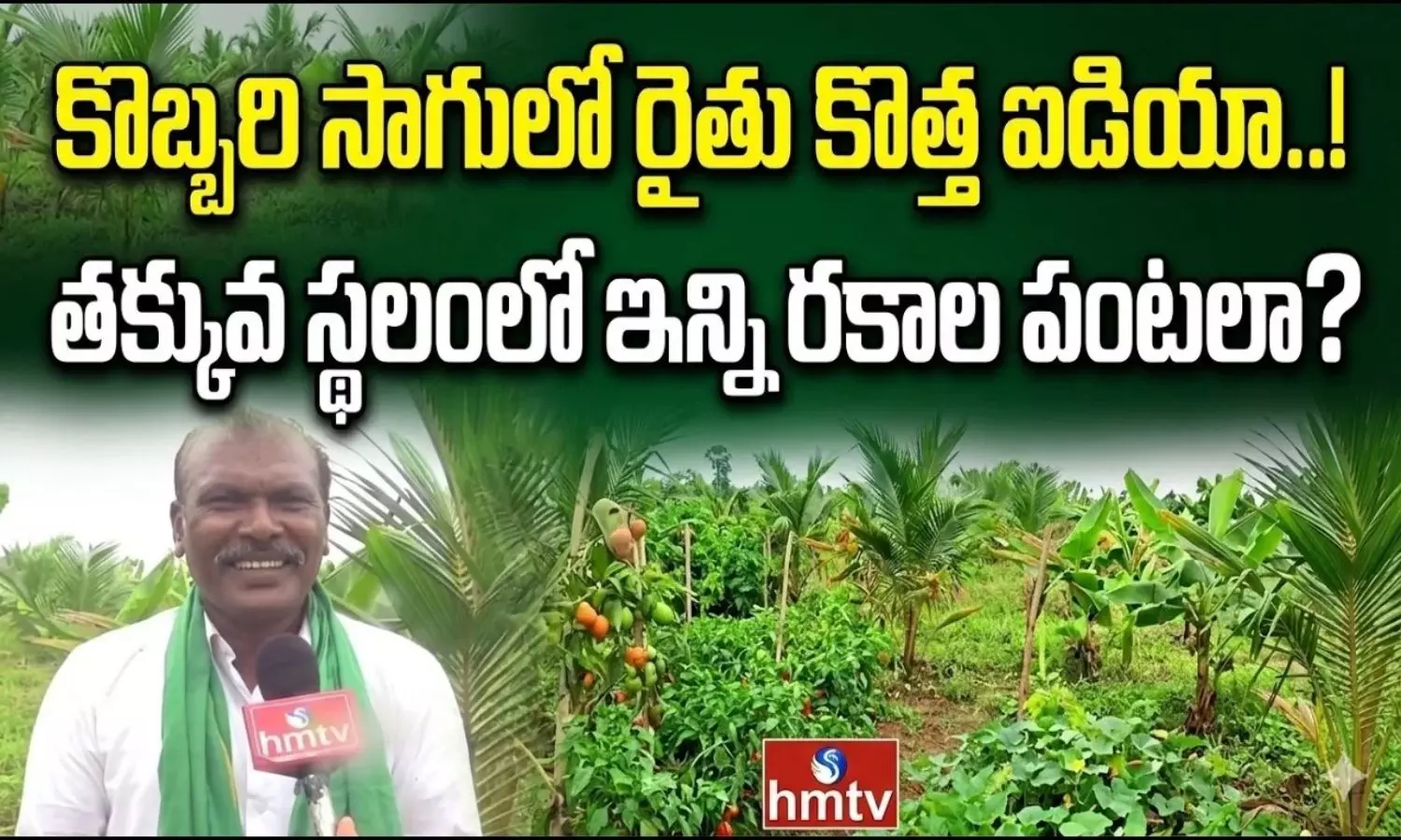 కొబ్బరి సాగులో రైతు కొత్త ప్రయోగం.. తక్కువ స్థలంలోనే రకరకాల పంటలతో లాభాలు!
