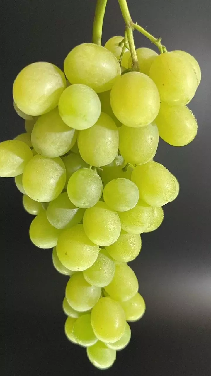 Grapes: రోజుకో గుప్పెడు ద్రాక్ష పండ్లు తింటే మీ శరీరంలో జరిగే అద్భుతాలు ఇవే
