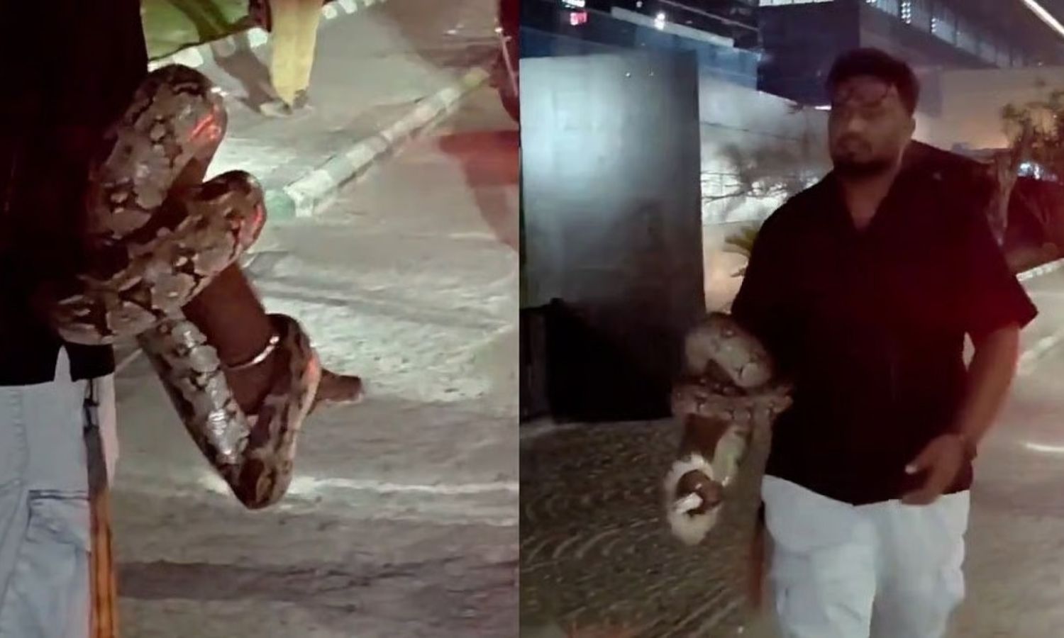 Viral: నీ ధైర్యానికి హ్యాట్సాఫ్.! చేతికి చుట్టుకున