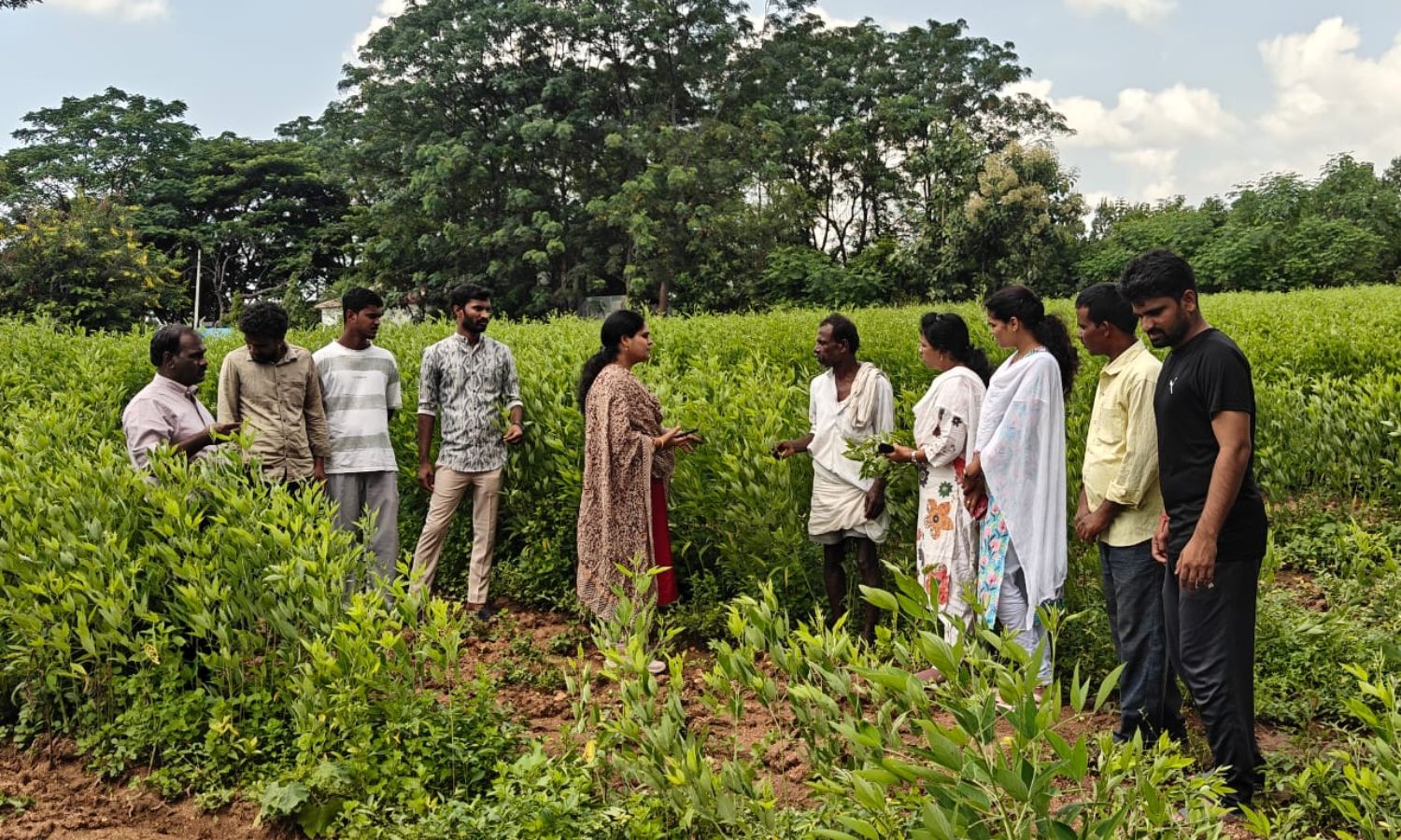 Narsapur: మాడపూర్‌లో కంది పంటపై రైతులకు వ్యవసాయ శా