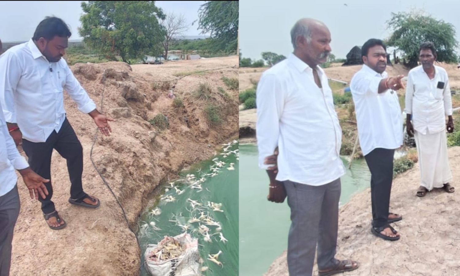 Kadapa: చేపలకు చికెన్ వేస్ట్.. నిర్వాహకులపై ఆప్కాఫ
