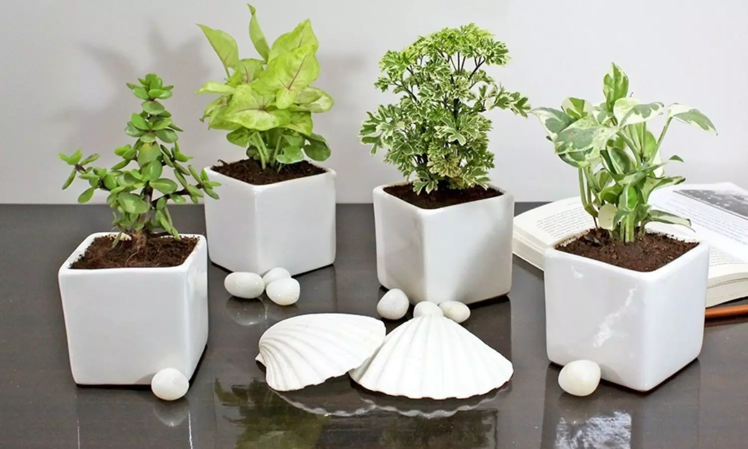 Vastu Tips