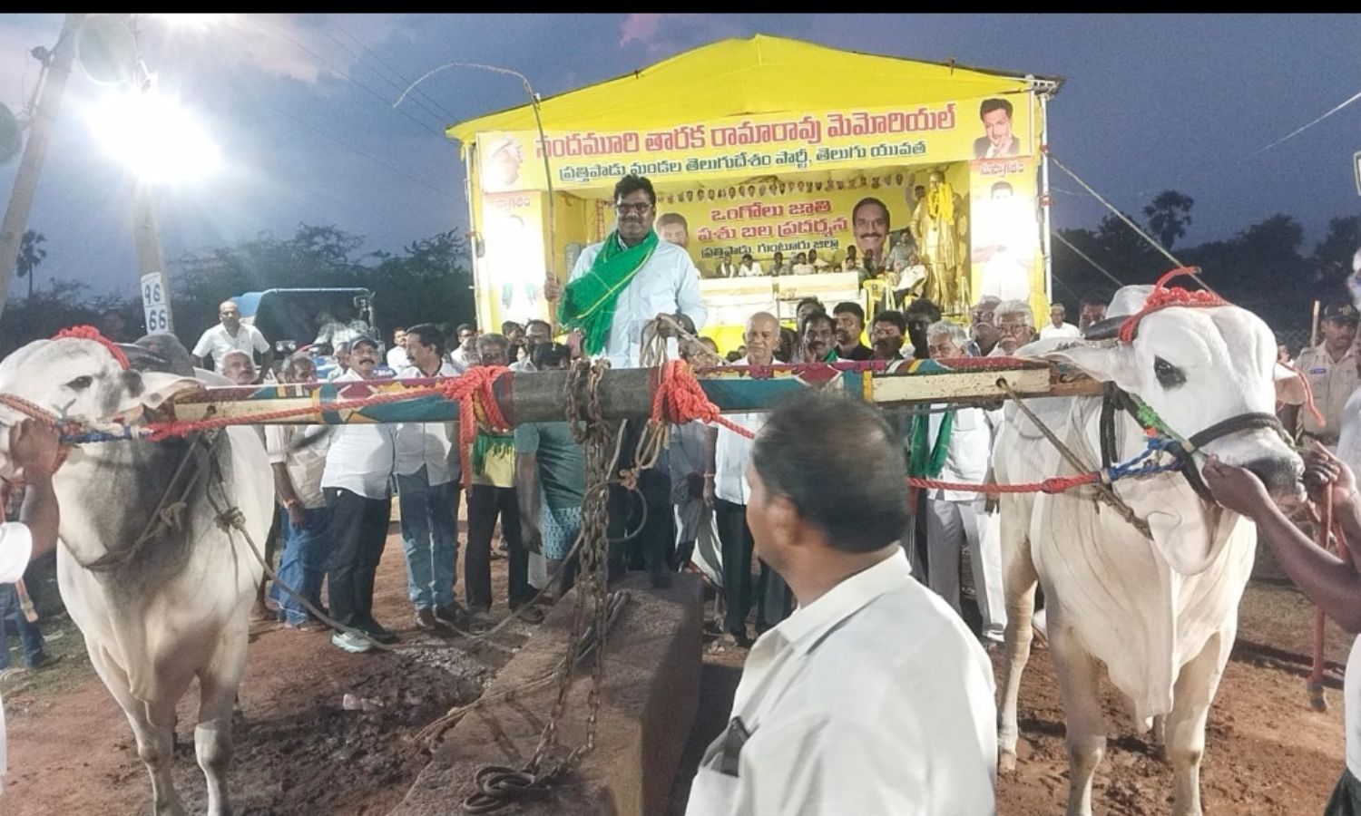 Prathipadu: ప్రత్తిపాడులో ఒంగోలు జాతి పశు ప్రదర్శన