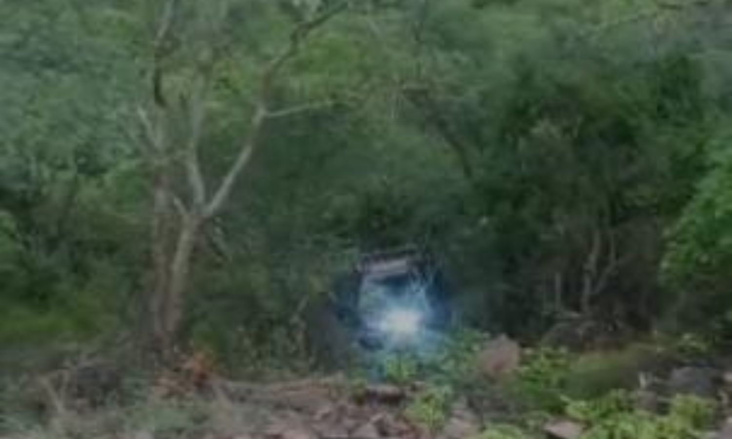 Markapuram: నల్లమల అటవీ ప్రాంతంలో లోయలోకి దూసుకెళ్