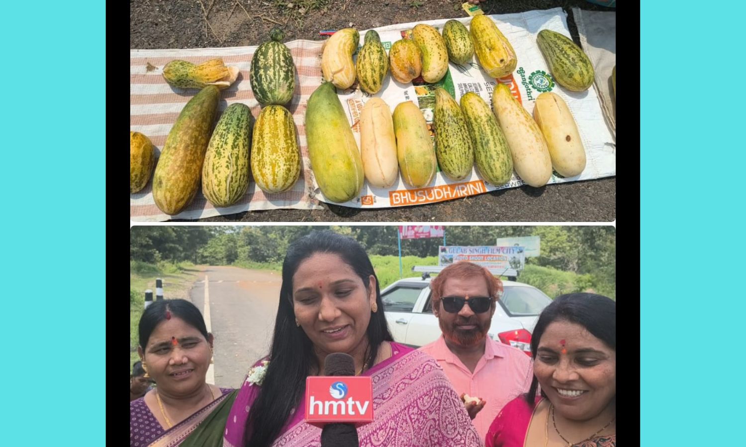Gudihathnoor: గుడిహత్నూర్‌లో బుడిమ పండ్ల విక్రయం..