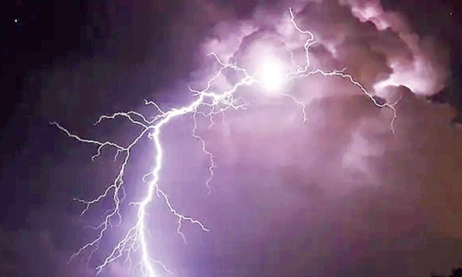 Adilabad: ఆదిలాబాద్‌లో పిడుగుపాటుకు మూడు మూగజీవాలు