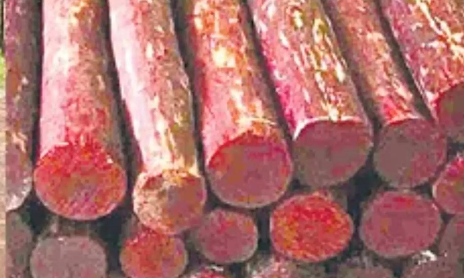 Kadapa