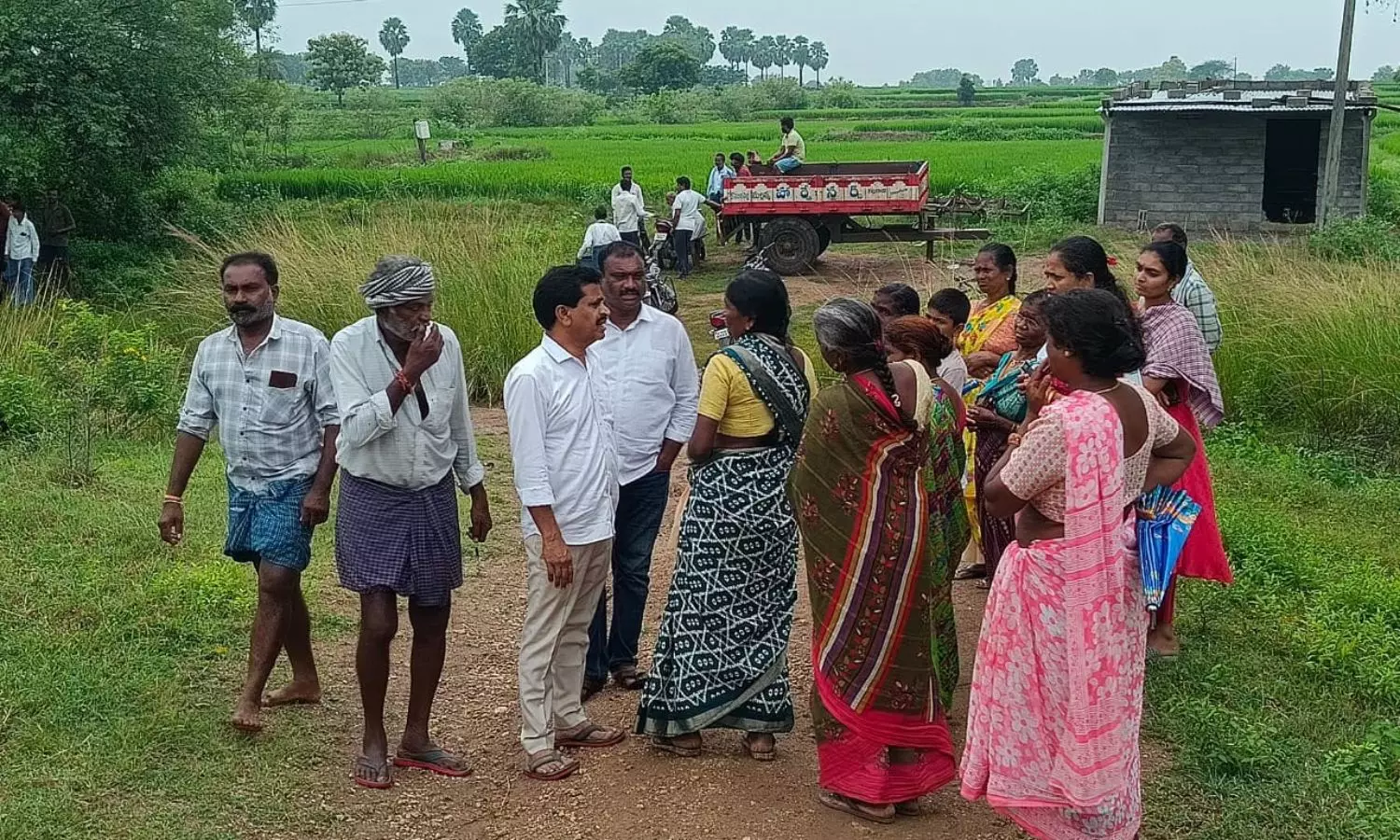 Peddapalli Peddapalli