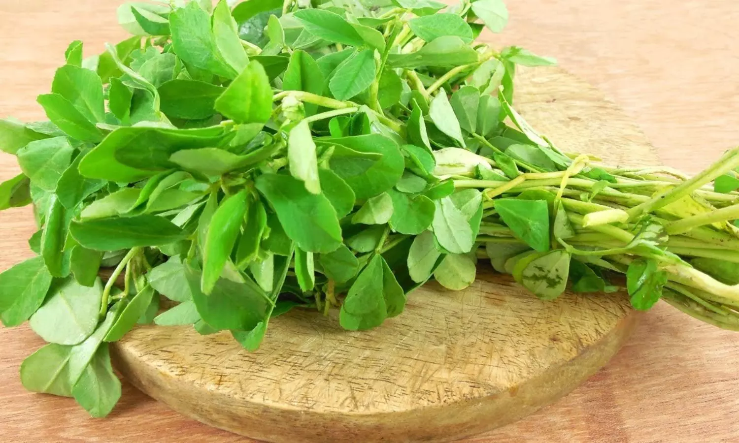 Fenugreek