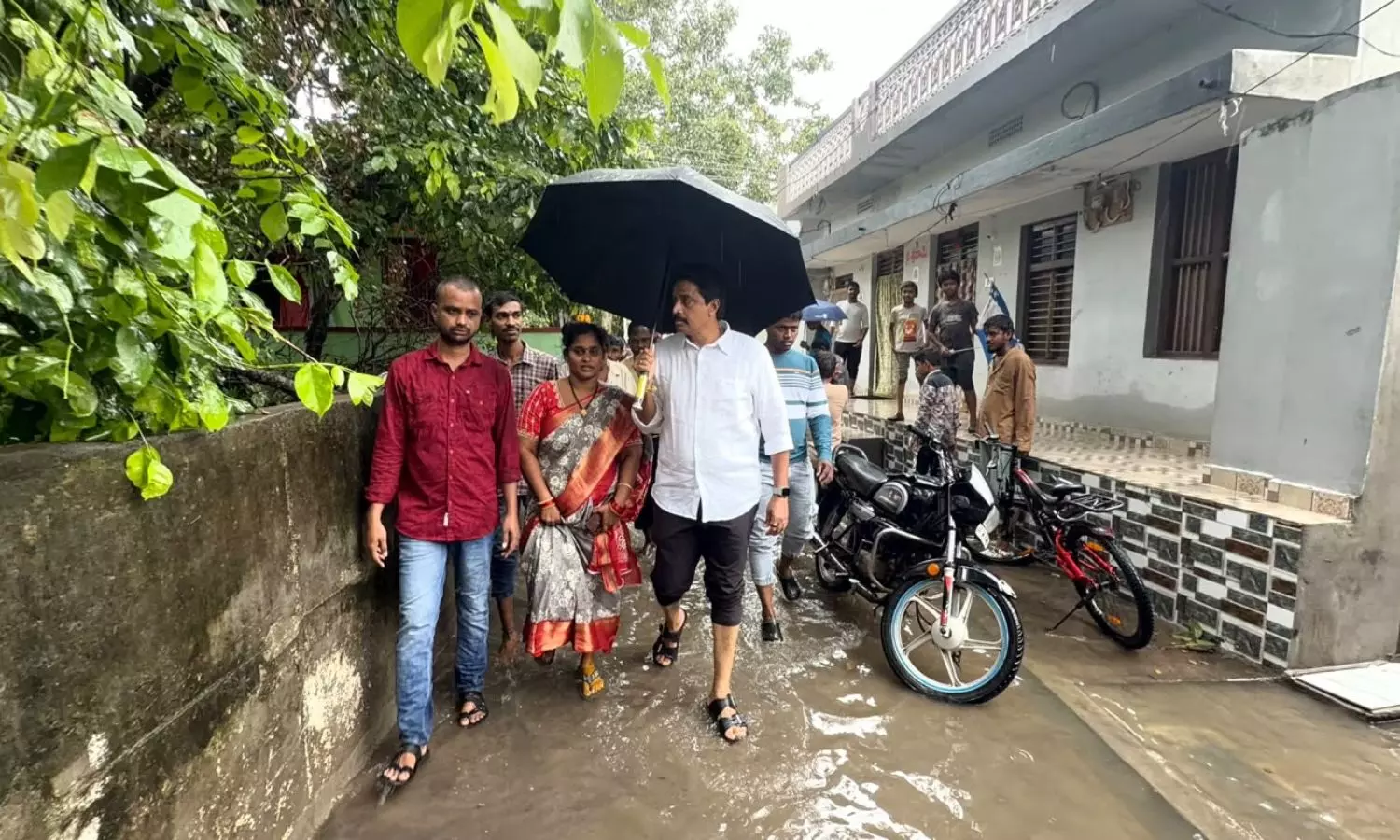 Tanuku Tanuku
