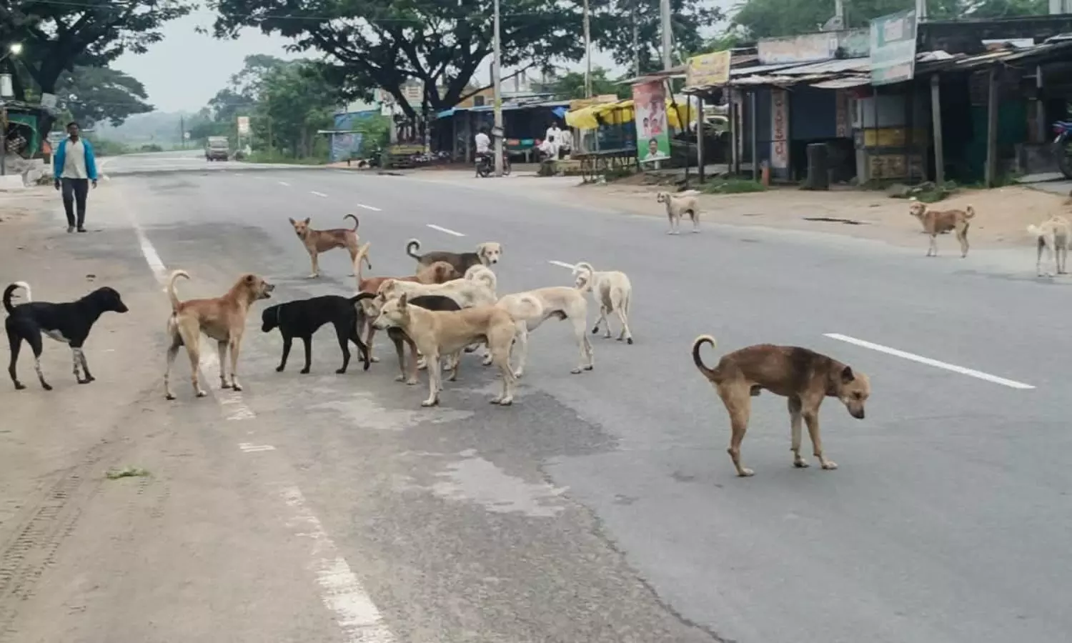 Rayaparthy Rayaparthy