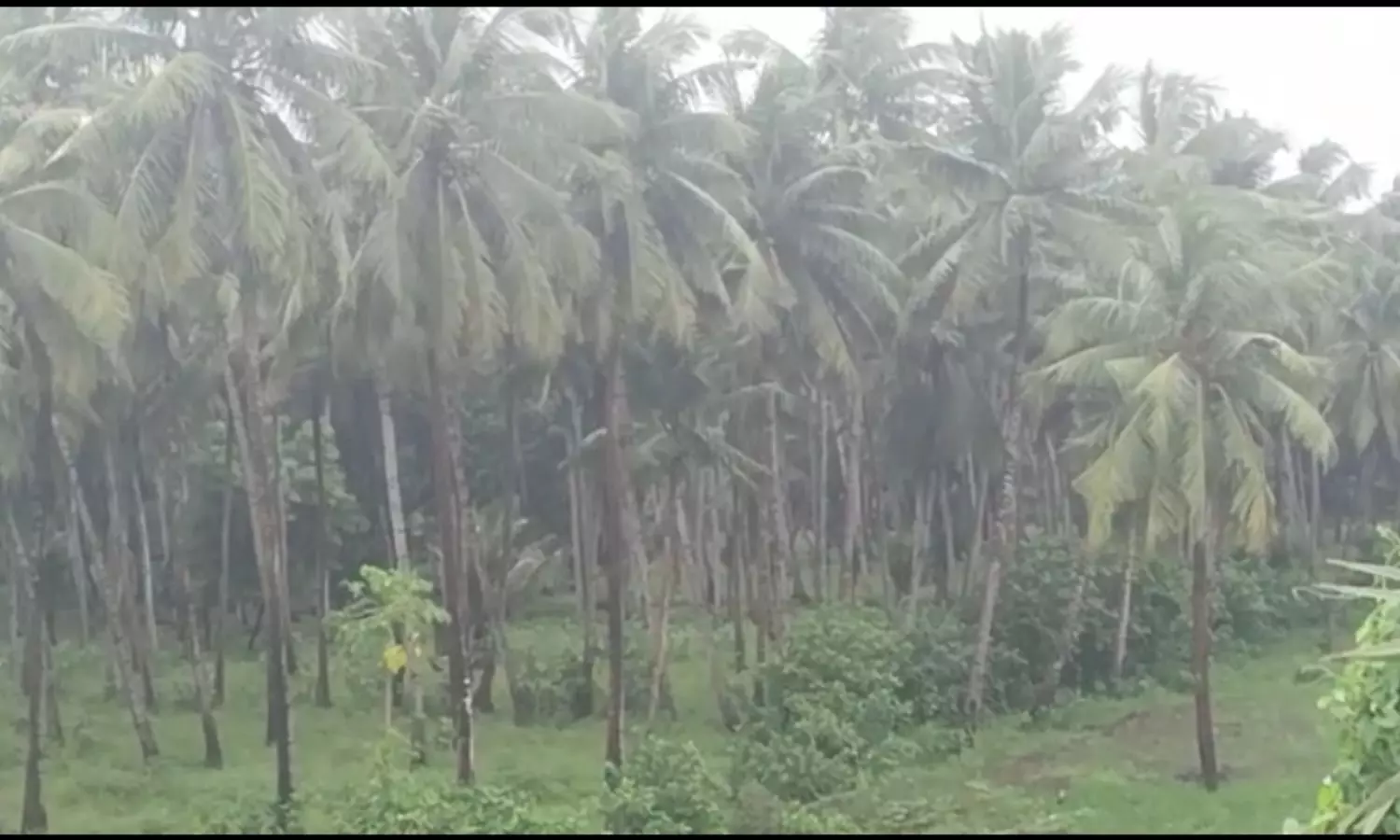 P Gannavaram